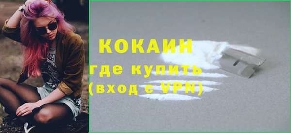 МДПВ Инсар