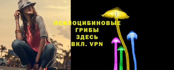 мдпв Саяногорск