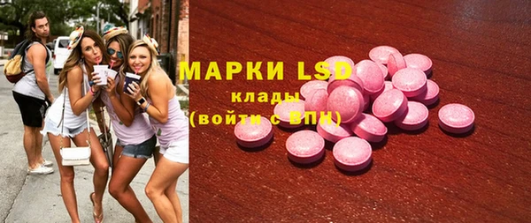 ГАЛЛЮЦИНОГЕННЫЕ ГРИБЫ Няндома
