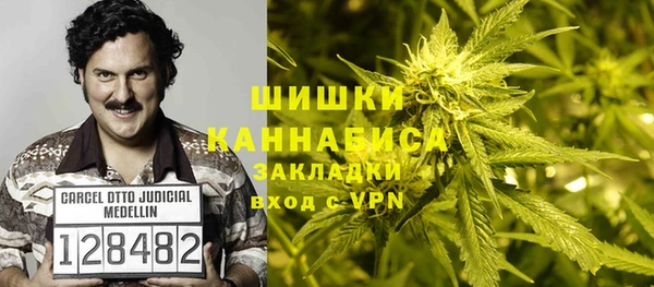 ПСИЛОЦИБИНОВЫЕ ГРИБЫ Новозыбков
