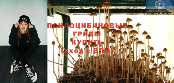 COCAINE Новодвинск