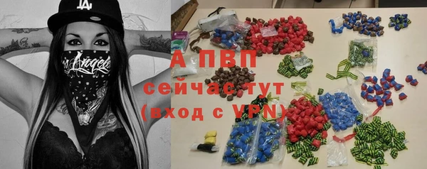 ПСИЛОЦИБИНОВЫЕ ГРИБЫ Новозыбков