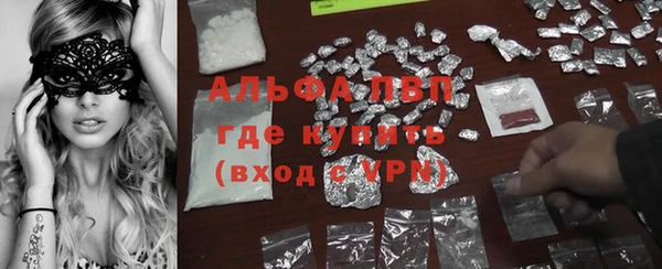 ГАЛЛЮЦИНОГЕННЫЕ ГРИБЫ Няндома