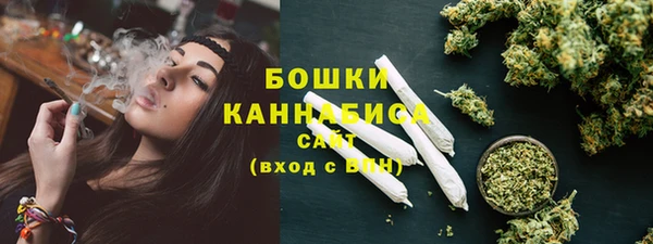 ПСИЛОЦИБИНОВЫЕ ГРИБЫ Новозыбков