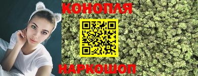 дурь Гусев