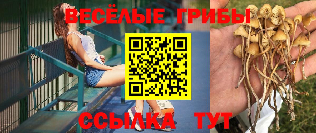 Псилоцибиновые грибы мицелий  Псилоцибиновые грибы Cubensis  Вход с VPN  Семилуки 